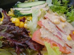 综合沙拉-红叶日料·放题·海胆·定食(星海店)