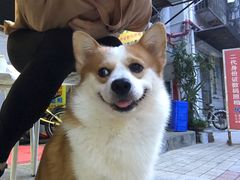-小梁哥云吞面(黄贝岭店)