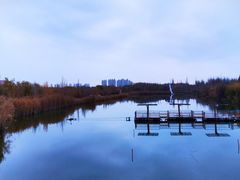 -伊犁河风景区