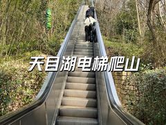 -天目湖山水园