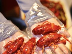 -舞虾小说.涮肉.烧烤(国顺东路店)