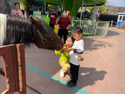 -宝燕乐园(闵行旗舰店)