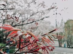 -上海体育馆(地铁站)
