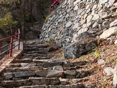 -北京鹫峰国家森林公园
