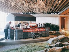 -Seesaw Coffee(朝阳大悦城店)