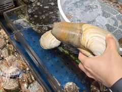 -盒马鲜生(顺义店)