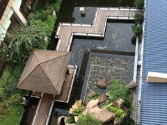 -三清山希尔顿度假酒店