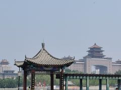 -莲花池公园