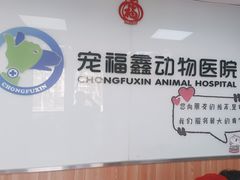 -宠福鑫动物医院(城北分院)