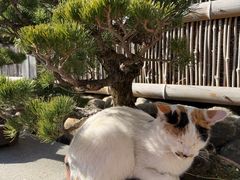 -龙华素斋(龙华路店)