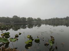-阳澄湖半岛旅游度假区