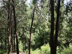 -北京十三陵国家森林公园蟒山景区