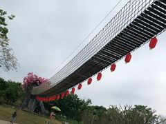 -天适樱花悠乐园