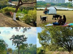 -东莞植物园