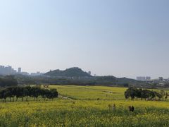 -光明小镇欢乐田园