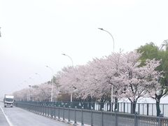 -品鲜村农家菜·阳澄湖大闸蟹(总店)