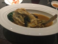 河豚-柒厢食事雅谈