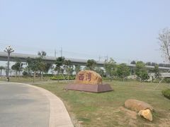 -宝安西湾红树林湿地公园