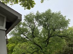 -WeLope紫金山探险公园