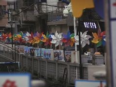 -长洲岛