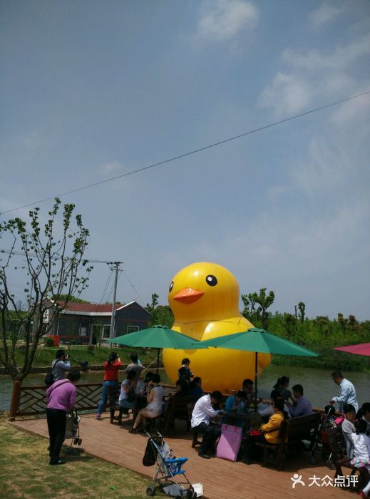 迪洋欢乐农场(小蒋草莓园)图片 - 第45张