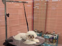 -FAELING PETS美天灵宠物(合生汇店)
