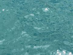 -海港城