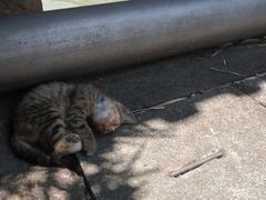 -丝绸小镇荻港古村
