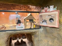 -酷嗒动物文化乐园(cutezoo西溪乐天城店)