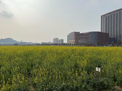 -光明小镇欢乐田园