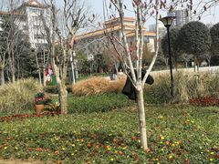 -经纬广场