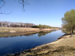 -蒲河岛湿地公园