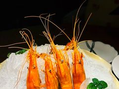 -南麓·浙里(外滩店)