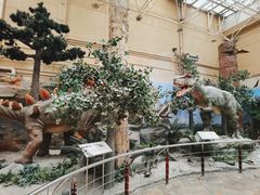 -国家自然博物馆