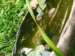-香园自助小火锅