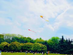 -青枫公园