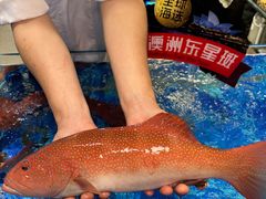 -喜宴又一村·粤菜·茶点·海鲜(壹方天地店)