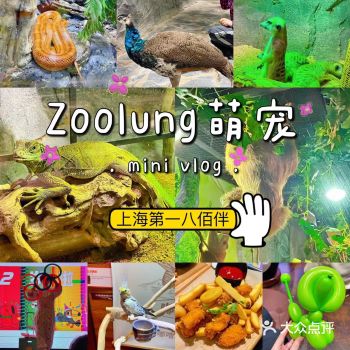 zoo lung 这个品牌不知不觉也已经两周年了