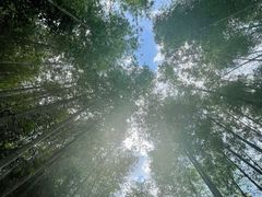 -千泷沟大瀑布旅游区