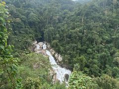 -海南热带雨林国家公园吊罗山景区