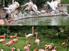 -云南野生动物园