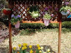 -昆山城市生态森林公园