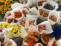 -三圣花乡旅游区