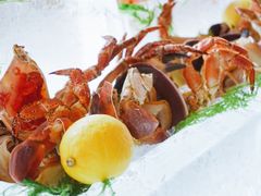 -上海和平饭店华懋阁 Cathay Room