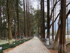 -瑶琳仙境
