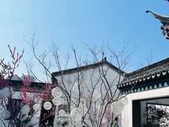 -青果巷历史文化街区