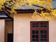 -中山公园