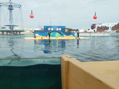 -秦皇岛乐岛海洋王国