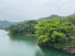 -佛山市三水区大南山森林公园