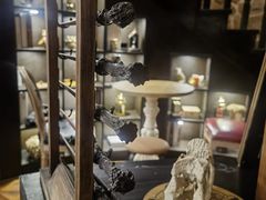 -雪灵魔法世界SHELLY’S TAROT(大良桂畔里店)